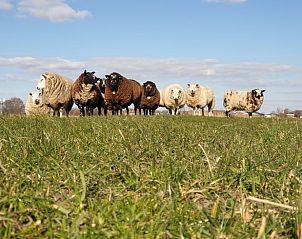 Unterkunft 480317 - Ferienhaus Noord-Holland noord - Vakantiehuis in Oudesluis