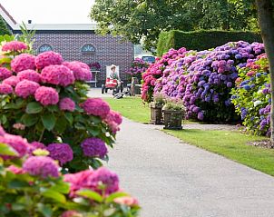 Prachtige bloementuin bij Huisje in Oudesluis, vakantiehuis in Noord-Holland.