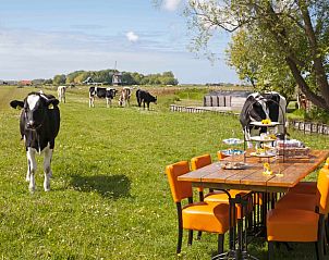 Buiten dineren met uitzicht op weilanden bij Huisje in Oudesluis, vakantiehuis in Noord-Holland.