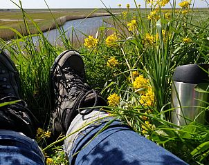 Ontspannen in de natuur bij Huisje in Oudesluis, vakantiehuis in Noord-Holland.
