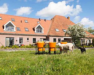 Buitenkant van Huisje in Oudesluis, vakantiehuis in Noord-Holland met dieren in de tuin.
