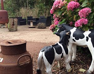 Landelijke decoratie bij Huisje in Oudesluis, vakantiehuis in Noord-Holland.