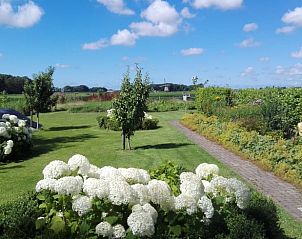 Groene tuin met bloemen bij Huisje in Oudesluis, vakantiehuis in Noord-Holland.