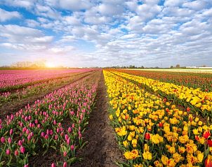Verblijf 480336 - Vakantiewoning Noord-Holland noord - 88754