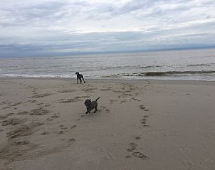 Guest house 480601 - Holiday property Noordzeekust - Hoenderhave