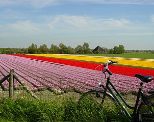 Guest house 480601 - Holiday property Noordzeekust - Hoenderhave