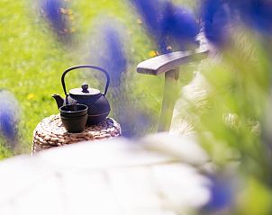 Guest house 480705 - Holiday property Noord-Holland noord - Vakantiehuisje in Barsingerhorn