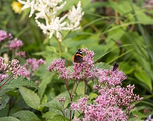 Guest house 480705 - Holiday property Noord-Holland noord - Vakantiehuisje in Barsingerhorn