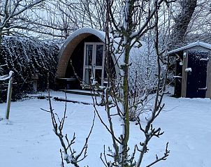 Guest house 480705 - Holiday property Noord-Holland noord - Vakantiehuisje in Barsingerhorn