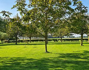 Unterkunft 480806 - Ferienhaus Noord-Holland noord - Vakantiehuisje in Nieuwe Niedorp