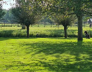 Unterkunft 480806 - Ferienhaus Noord-Holland noord - Vakantiehuisje in Nieuwe Niedorp
