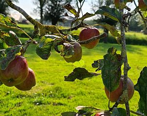 Unterkunft 480806 - Ferienhaus Noord-Holland noord - Vakantiehuisje in Nieuwe Niedorp