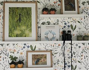 Decoratieve wand met vogelthema in Vakantiehuisje in Schagen, Noord-Holland noord.