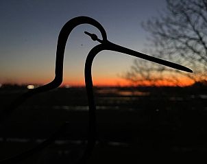 Silhouet van een vogel bij zonsondergang in Vakantiehuisje in Schagen, Noord-Holland noord.