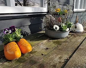 Kleurrijke klompen met bloemen bij Vakantiehuisje in Schagen, Noord-Holland noord.