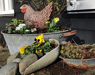 Decoratieve plantenbakken bij Vakantiehuisje in Schagen, met een landelijke sfeer in Noord-Holland noord.