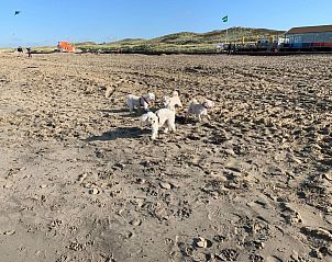 Verblijf 482016 - Vakantiewoning Noord-Holland noord - Vakantiehuis in Dirkshorn