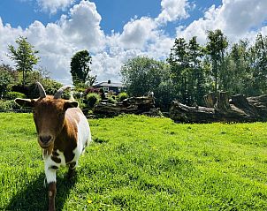 Verblijf 482019 - Vakantiewoning Noord-Holland noord - Vakantiehuis Bungalowpark de Horn -  Floresta 213