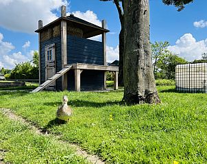 Verblijf 482023 - Vakantiewoning Noord-Holland noord - Vakantiehuis Bungalowpark de Horn - Floresta 215