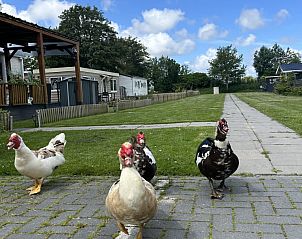 Verblijf 482024 - Vakantiewoning Noord-Holland noord - Vakantiehuis Bungalowpark de Horn - 821