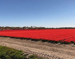 Verblijf 482027 - Vakantiewoning Noord-Holland noord - 297331