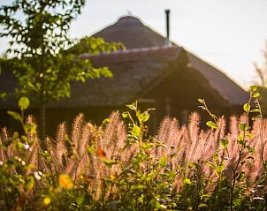 Guest house 482408 - Holiday property Noord-Holland noord - Vakantiehuis in Tuitjenhorn