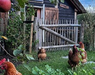 Guest house 482408 - Holiday property Noord-Holland noord - Vakantiehuis in Tuitjenhorn