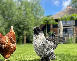 Guest house 482408 - Holiday property Noord-Holland noord - Vakantiehuis in Tuitjenhorn