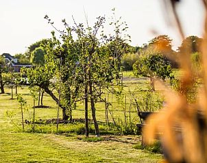 Guest house 482408 - Holiday property Noord-Holland noord - Vakantiehuis in Tuitjenhorn