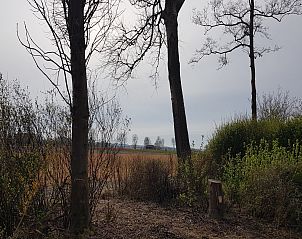 Guest house 482412 - Holiday property Noord-Holland noord - Vakantiehuis De Weide Blick