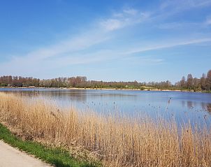 Guest house 482412 - Holiday property Noord-Holland noord - Vakantiehuis De Weide Blick