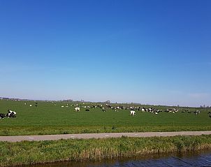 Guest house 482412 - Holiday property Noord-Holland noord - Vakantiehuis De Weide Blick