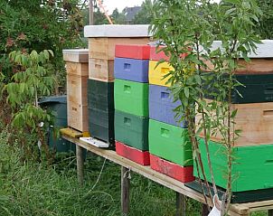 Unterkunft 482914 - Ferienhaus Noord-Holland noord - Huisje in Zuidoostbeemster