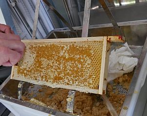 Unterkunft 482914 - Ferienhaus Noord-Holland noord - Huisje in Zuidoostbeemster