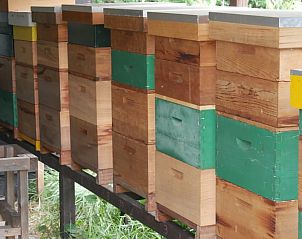 Unterkunft 482914 - Ferienhaus Noord-Holland noord - Huisje in Zuidoostbeemster