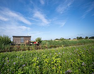 Verblijf 483010 - Vakantiewoning Noord-Holland noord - De Veldwachter