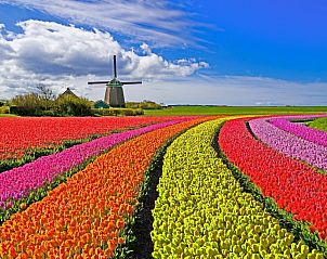 Verblijf 483202 - Vakantiewoning Noord-Holland noord - 8385