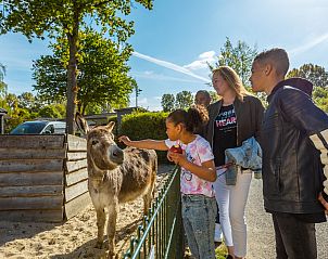 Verblijf 483703 - Vakantiewoning Noord-Holland noord - EuroParcs Molengroet