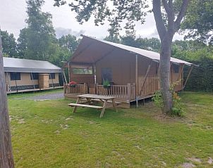 Guest house 483737 - Holiday property Noord-Holland noord - Vakantiehuis Glampingtent Sunshine 2