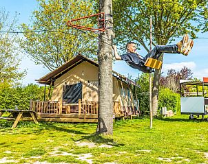 Guest house 483737 - Holiday property Noord-Holland noord - Vakantiehuis Glampingtent Sunshine 2