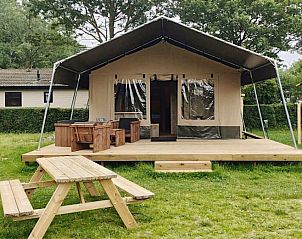 Unterkunft 483759 • Zelthaus Noord-Holland noord • Safaritent 