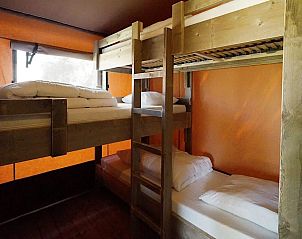 Unterkunft 483761 - Zelthaus Noord-Holland noord - Glampingtent Desert