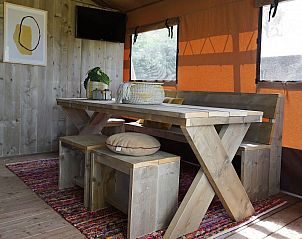 Unterkunft 483761 - Zelthaus Noord-Holland noord - Glampingtent Desert