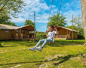 Unterkunft 483761 - Zelthaus Noord-Holland noord - Glampingtent Desert