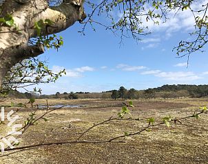 Zeehond op het strand nabij NH392 vakantiehuis in Schoorl, Noord-Holland.
