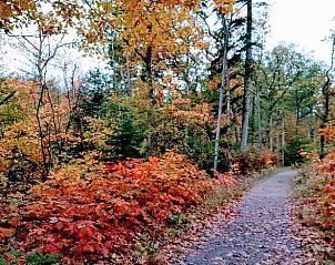 Guest house 4842100 - Holiday property Noord-Holland noord - Vakantiehuisje in Schoorl