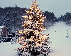 Guest house 4842100 - Holiday property Noord-Holland noord - Vakantiehuisje in Schoorl