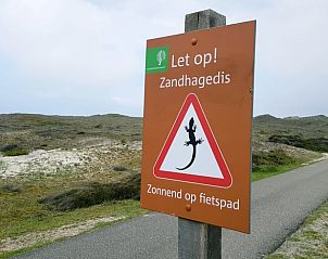 Guest house 4842100 - Holiday property Noord-Holland noord - Vakantiehuisje in Schoorl