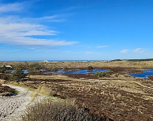 Guest house 4842100 - Holiday property Noord-Holland noord - Vakantiehuisje in Schoorl