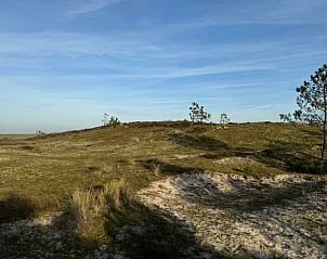 Guest house 4842104 - Holiday property Noord-Holland noord - Vakantiehuis in Schoorl